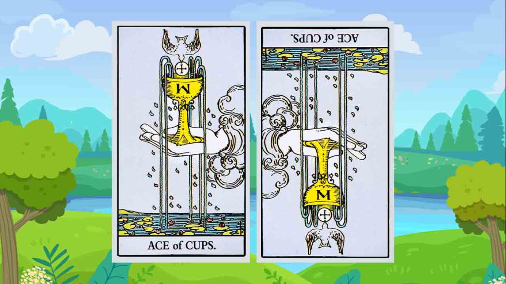 קלפים הפוכים בפתיחה