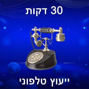 ייעוץ טלפוני חצי שעה