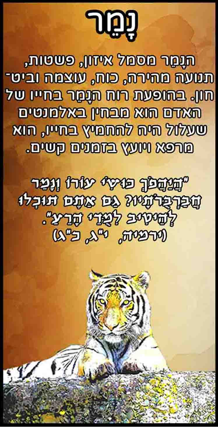 קלפי חיות - נמר - חיות טוטם סמליות - מסר יומי מחיות הכוח
