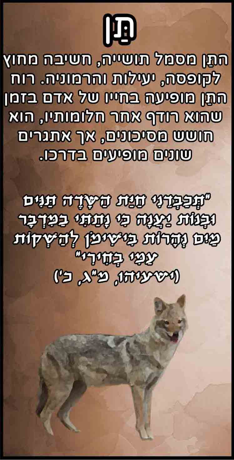 קלפי חיות - תן - חיות טוטם סמליות - מסר יומי מחיות הכוח
