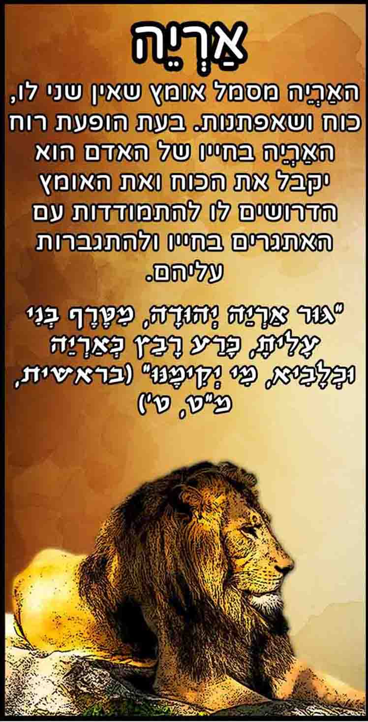 חיות_אריה