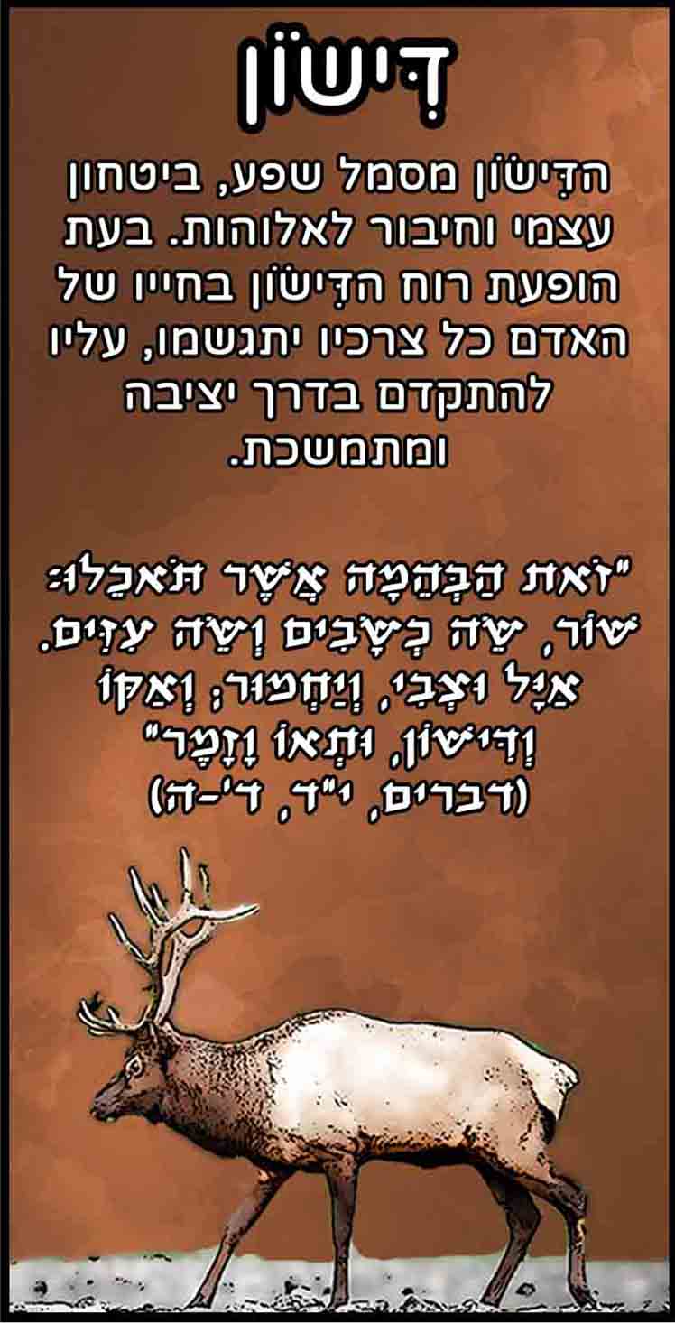 חיות_דישון