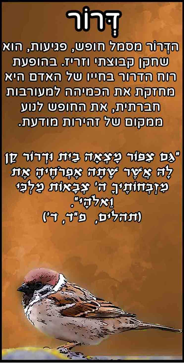 חיות_דרור