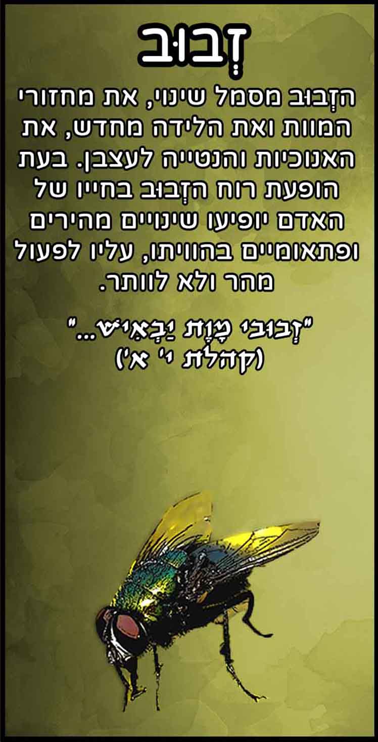 חיות_זבוב