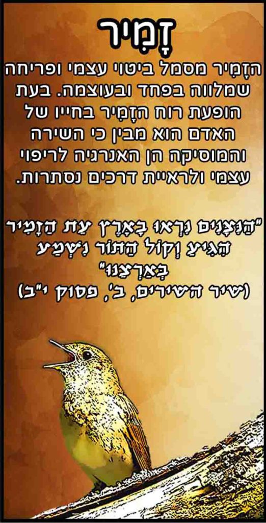חיות_זמיר
