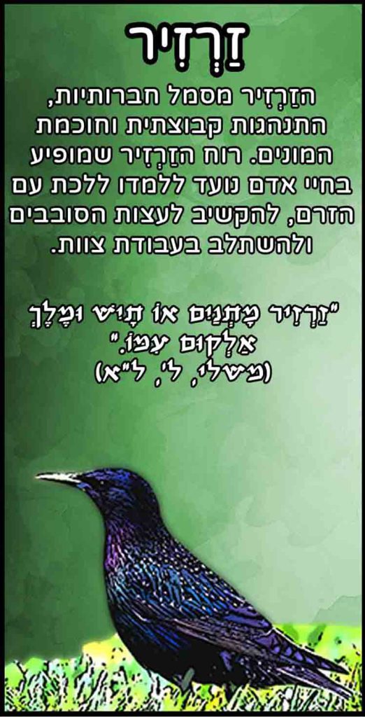 חיות_זרזיר