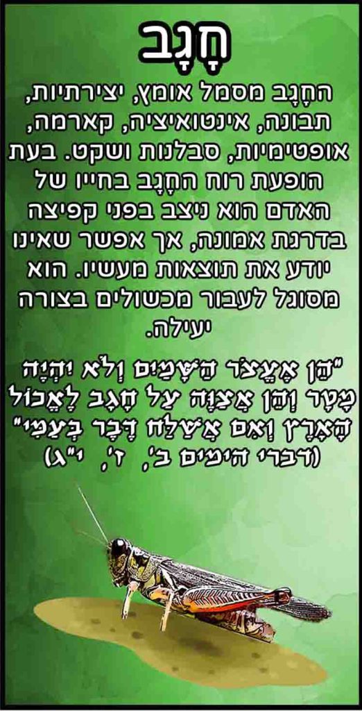 חיות_חגב