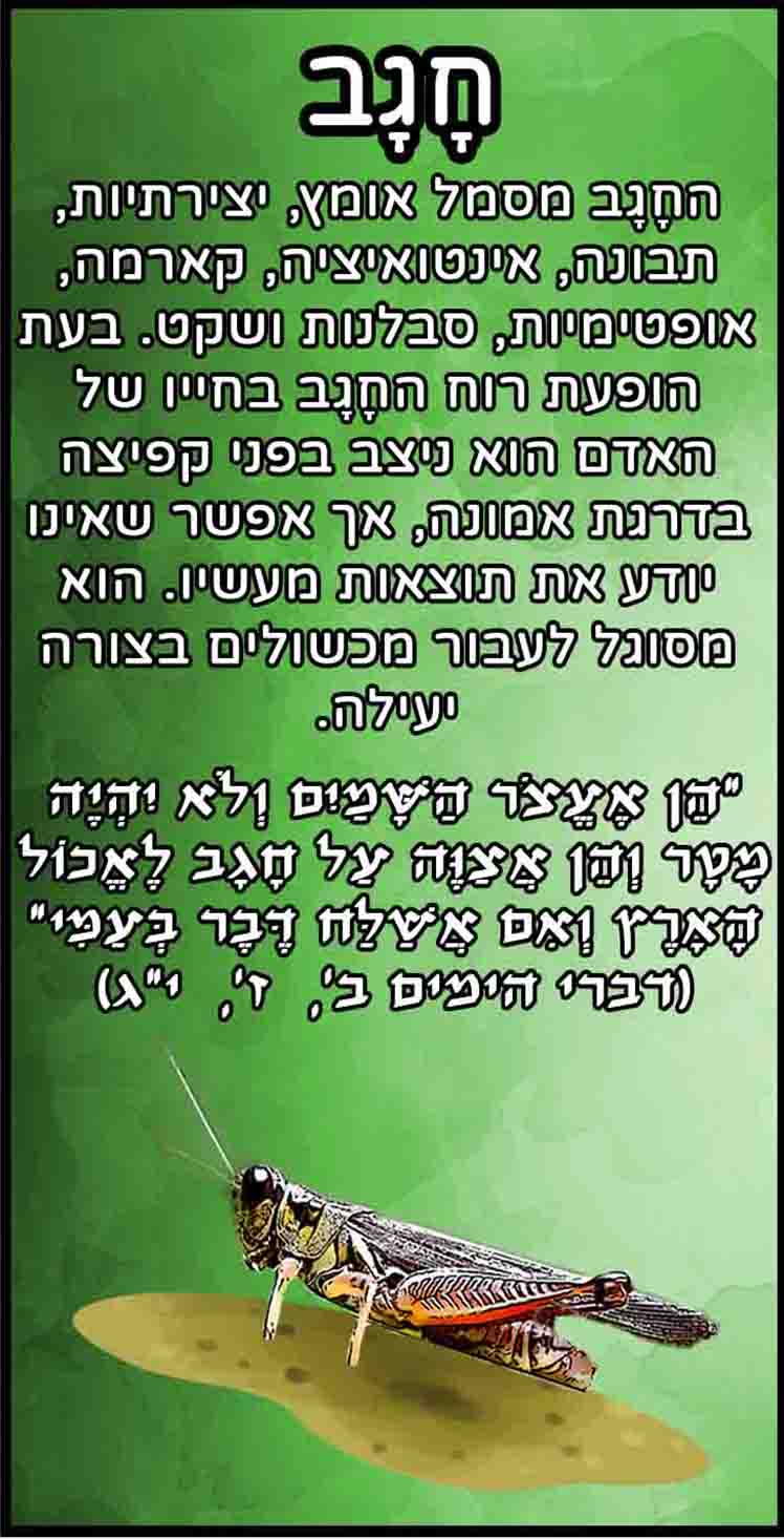 חיות_חגב