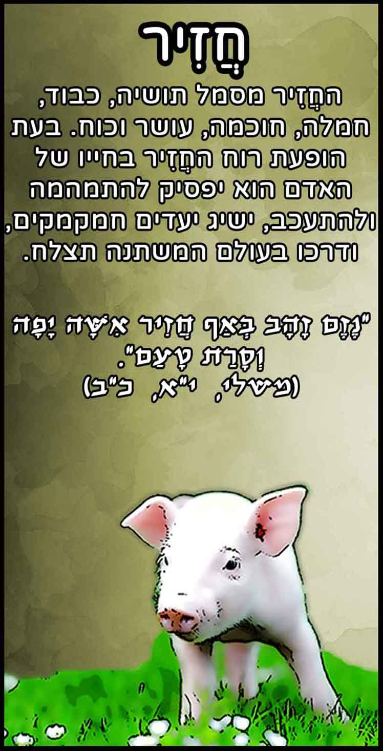 חיות_חזיר