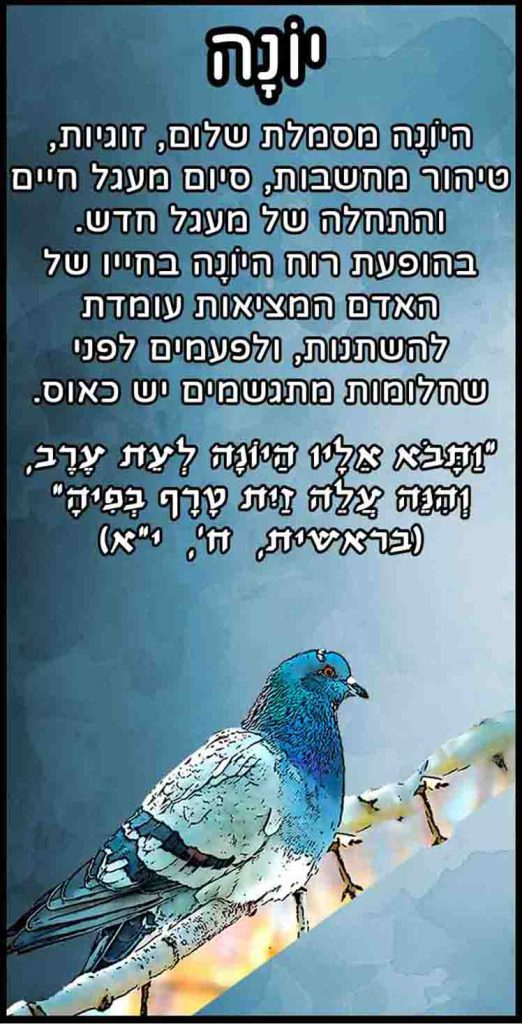חיות_יונה