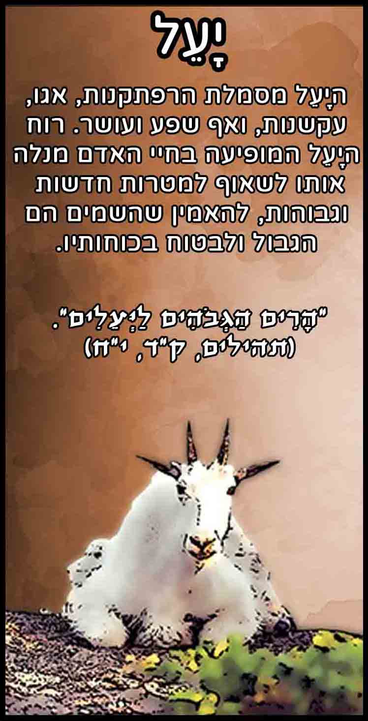 חיות_יעל