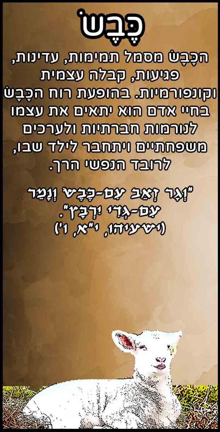 חיות_כבש