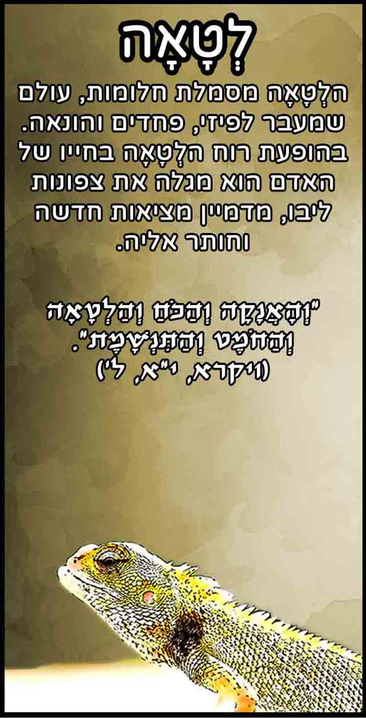 חיות_לטאה