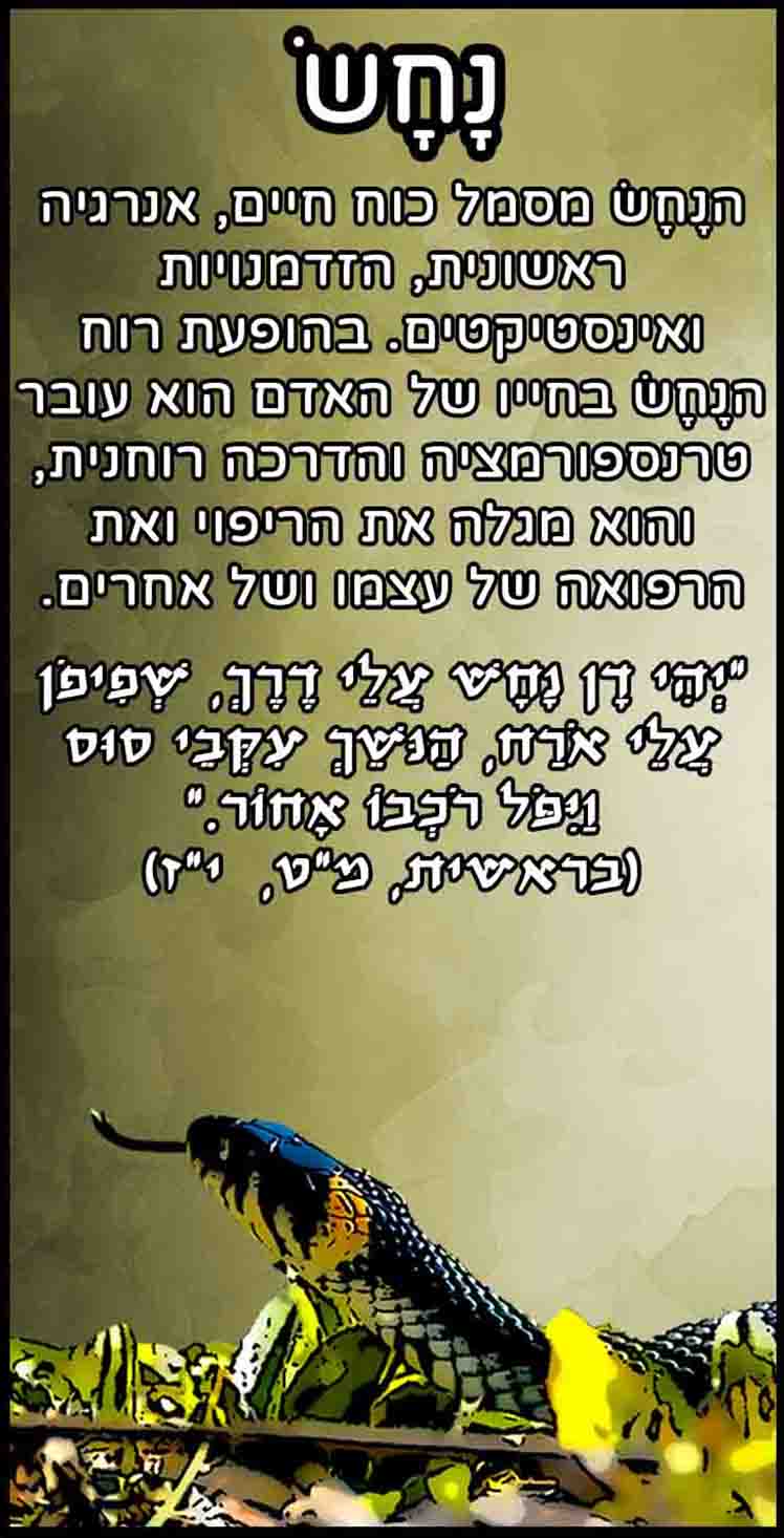 חיות_נחש