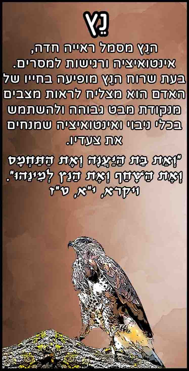 חיות_נץ