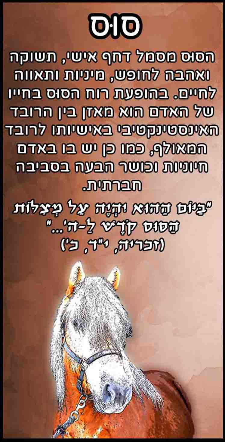 חיות_סוס