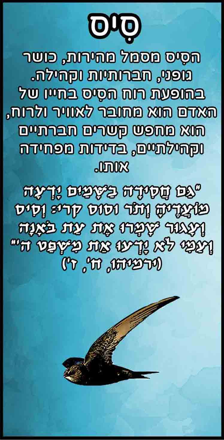 חיות_סיס