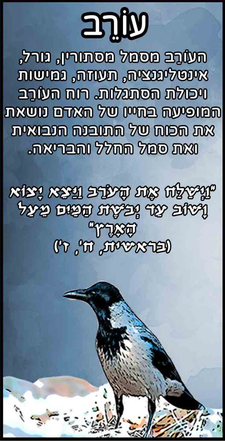 חיות_עורב