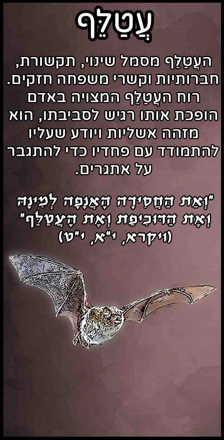 חיות_עטלף