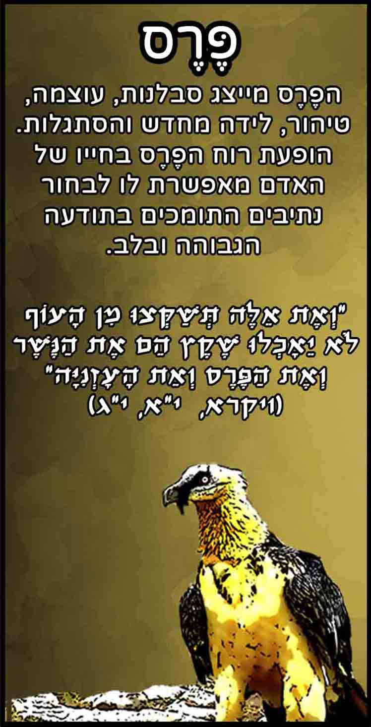 חיות_פרס