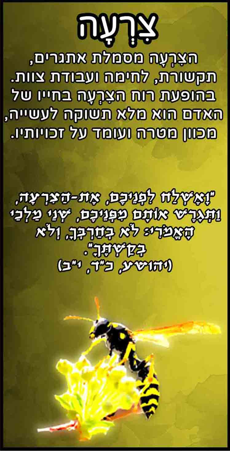 חיות_צרעה