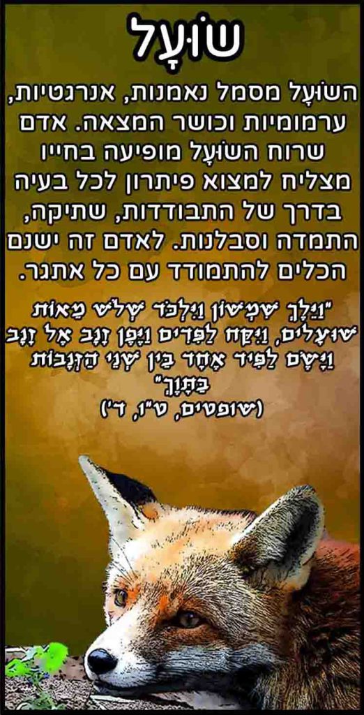 קלפי חיות - שועל