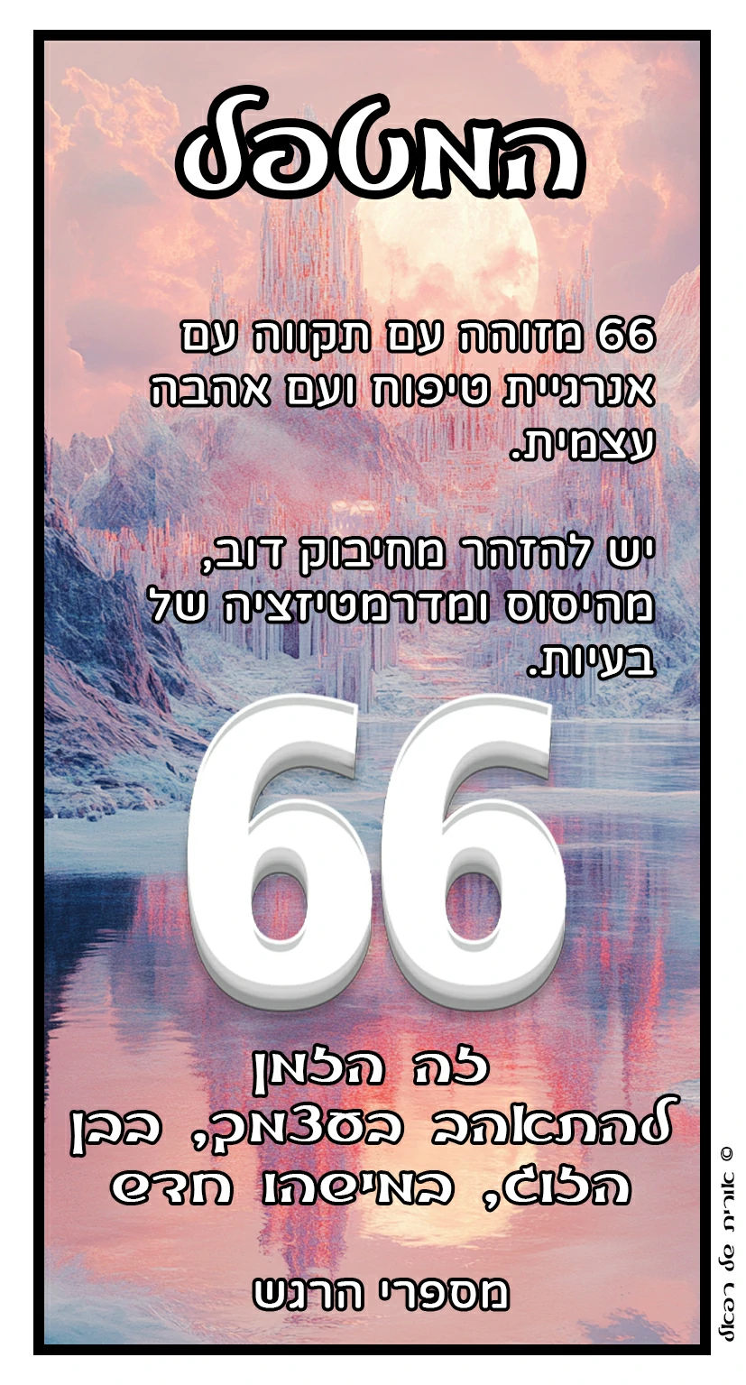 66