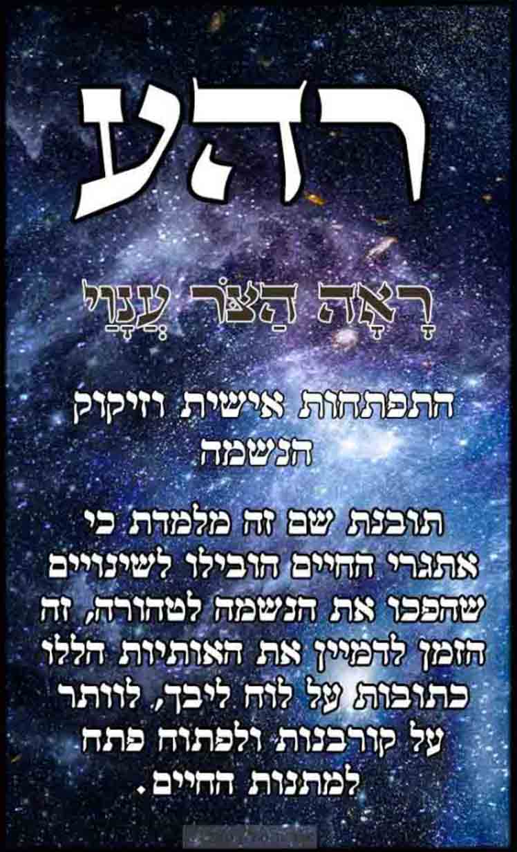 עב_ (39)