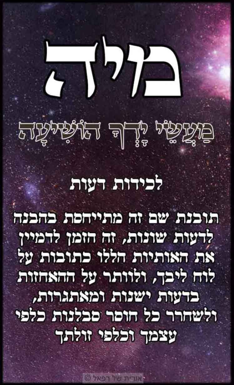 עב_ (48)