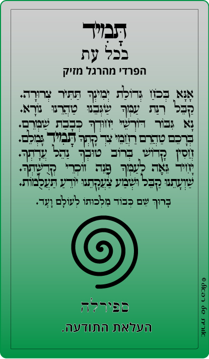 23-תמיד