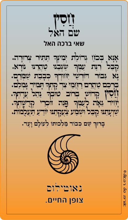 25-חסין