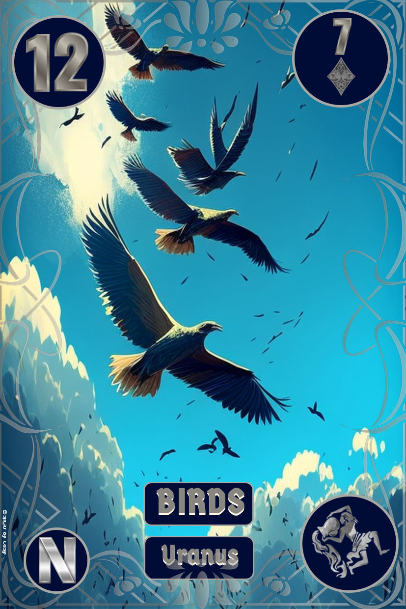 12-birds