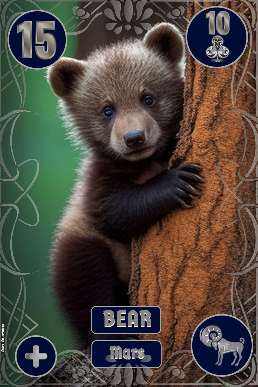 15-bear