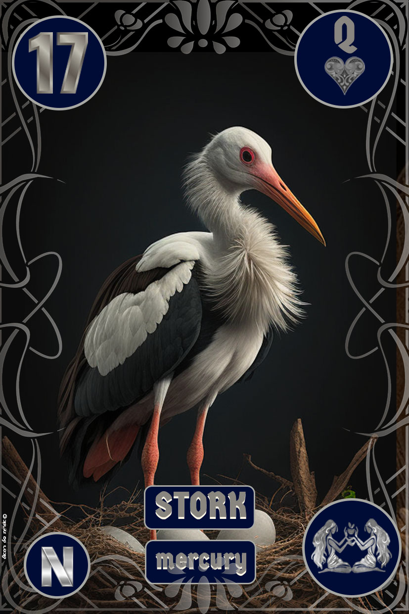 17-stork