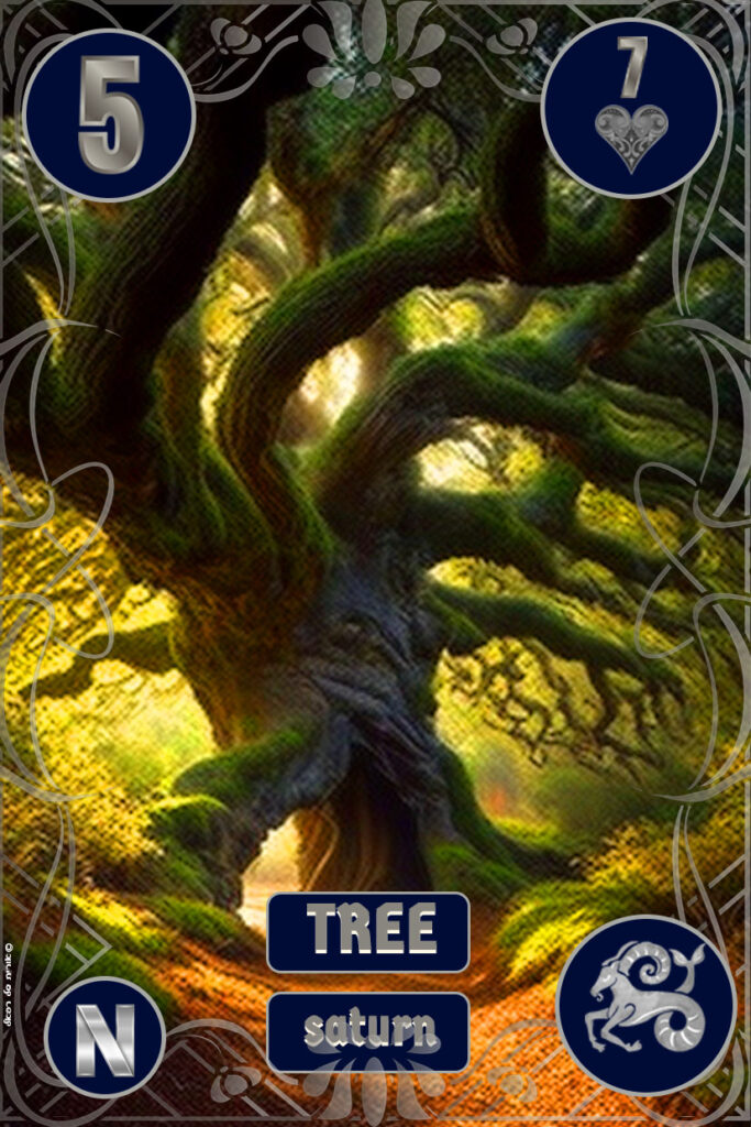5-tree