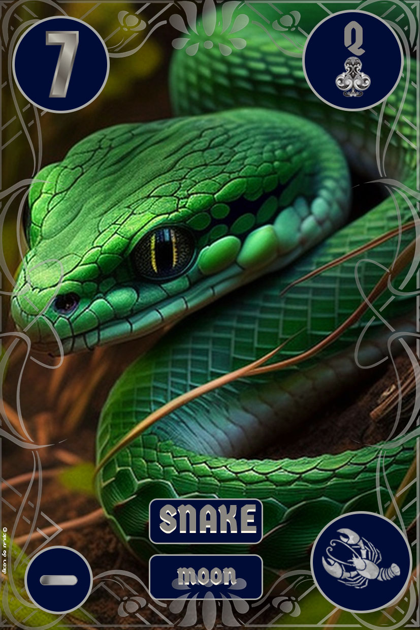 7-snake